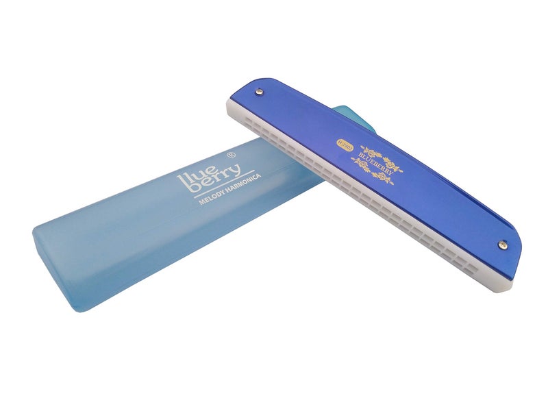 Blueberry H-2402 24 Holes 48 Tones Key C Mouth Organ With Case Blue) - Image 2