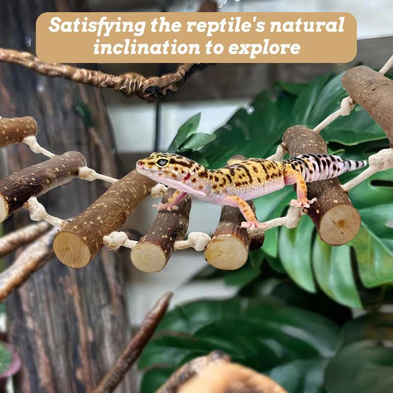 VCEPJH 2pcs Reptile Bridge Leopard Gecko Climbing Ladder Wooden Basking Lounger Reptile Tank Accessories for Hermit Crab Juvenile Bearded Dragon Chameleon Small Lizard (Fruit Wood) - Image 4