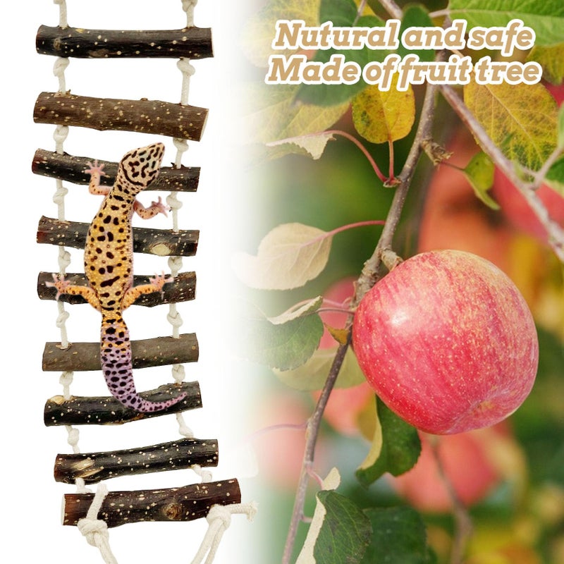 VCEPJH 2pcs Reptile Bridge Leopard Gecko Climbing Ladder Wooden Basking Lounger Reptile Tank Accessories for Hermit Crab Juvenile Bearded Dragon Chameleon Small Lizard (Fruit Wood) - Image 5