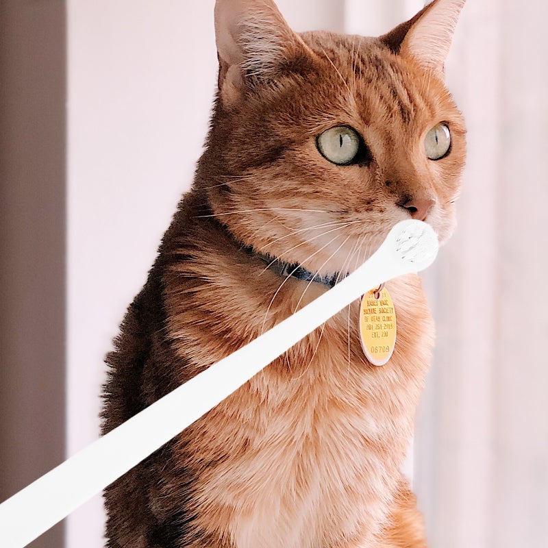 🐾 فرشاة أسنان للحيوانات الأليفة للكلاب والقطط بتصميم متين ومريح للعناية الفموية اللطيفة - Image 5