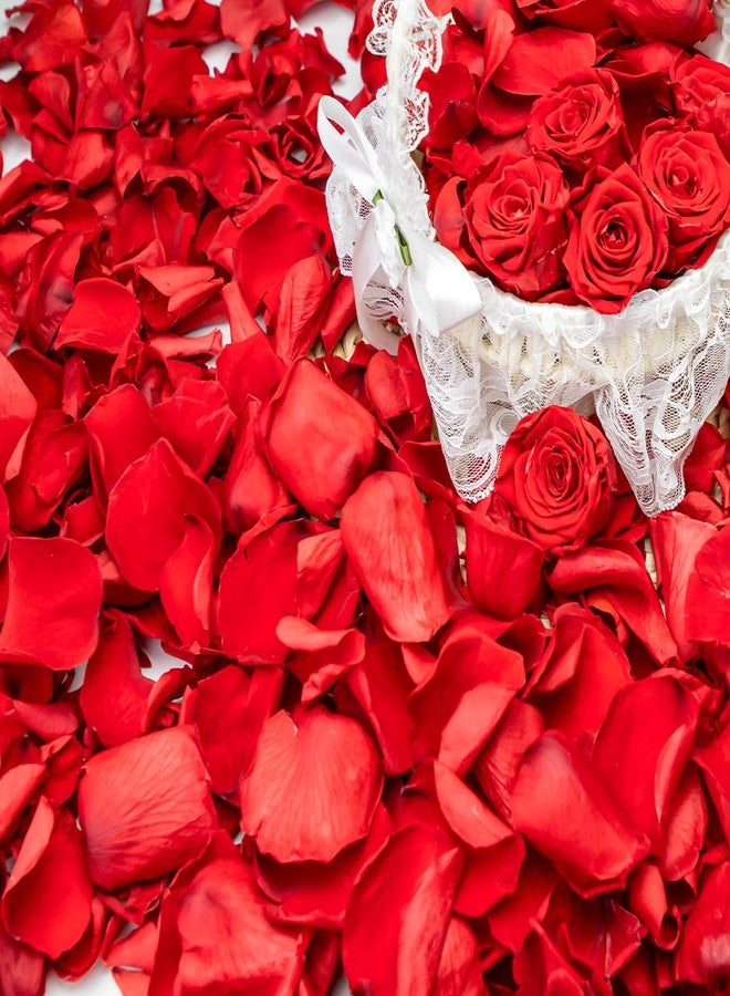 Eslibin 340 PCS Real Red Rose Petals, 3.17oz Dried Flower Confetti Petals for Wedding Flower Girl to Throw at Wedding Party, Romantic Night Bridal Shower Valentine's Day Decor - Image 1
