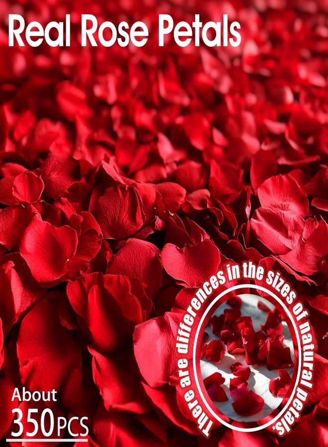 Eslibin 340 PCS Real Red Rose Petals, 3.17oz Dried Flower Confetti Petals for Wedding Flower Girl to Throw at Wedding Party, Romantic Night Bridal Shower Valentine's Day Decor - Image 3