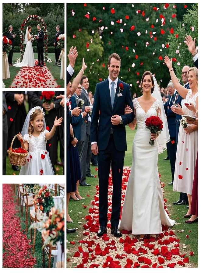 Eslibin 340 PCS Real Red Rose Petals, 3.17oz Dried Flower Confetti Petals for Wedding Flower Girl to Throw at Wedding Party, Romantic Night Bridal Shower Valentine's Day Decor - Image 4