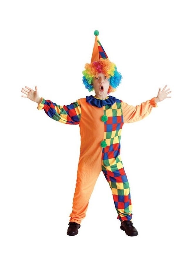 NIBEMINENT Professional Costume XL - Image 1