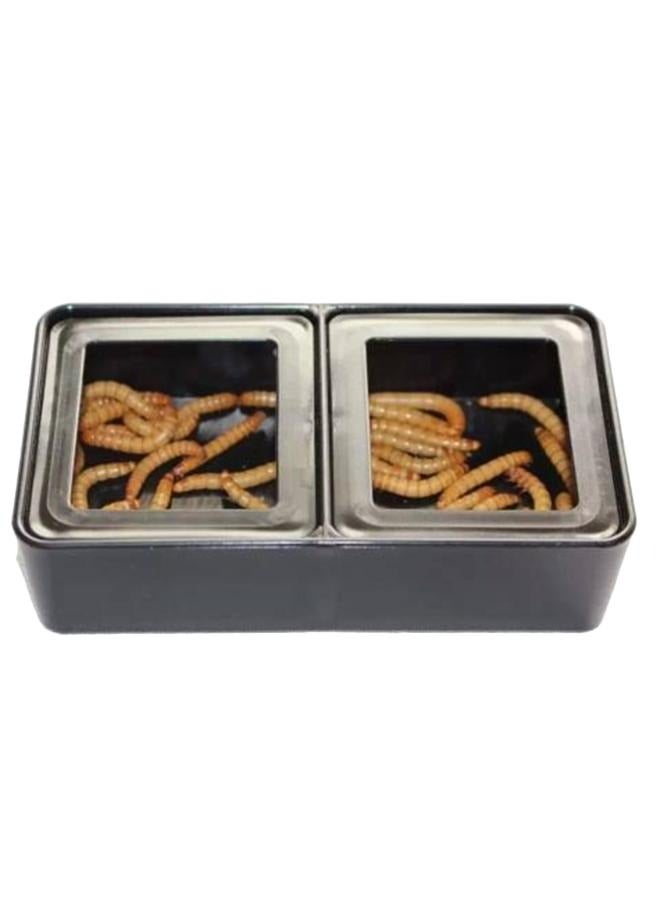 Generic B&K Feeding Box 2 in 1 Mini Plastic Reptile Food and Worm Dish Feeding – Black - Image 2