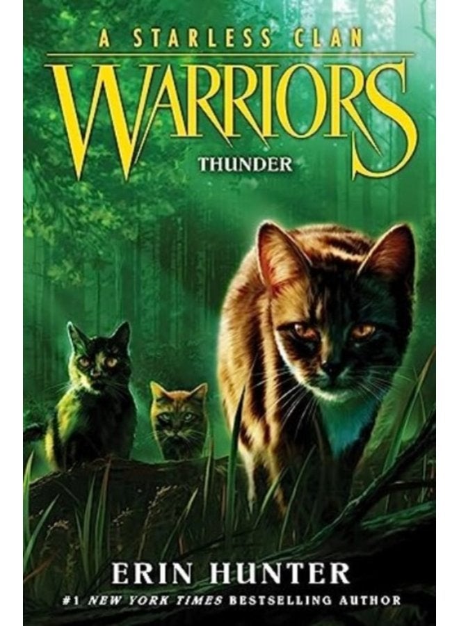 Warriors A Starless Clan 4 Thunder 4 - Hardback