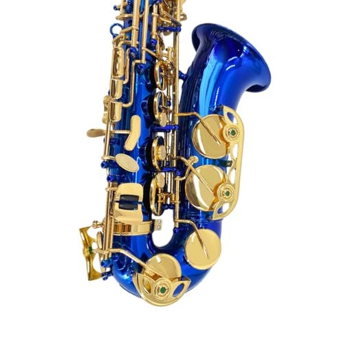 WUQIMUSC Beginner Alto Saxophone E Flat Complete Starter Kit with Case 10 Reeds for Adults Students Easy to Play for School Band Practice Blue - Image 3