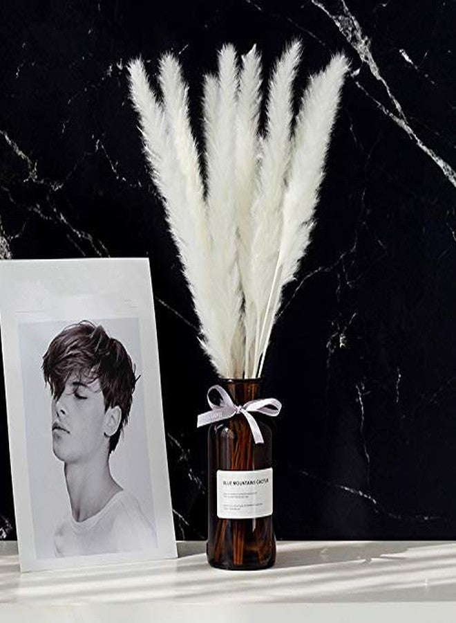 جولان 15 قطعة من عشب البامباس المجفف، 16 بوصة من نبات القصب الشائع، نبات لاغوروس أوفاتوس المجفف، زينة زهور مجففة، زهور قصب صناعية لتنسيقات الزهور وديكور حفلات الزفاف والمنزل (أبيض) - Image 3