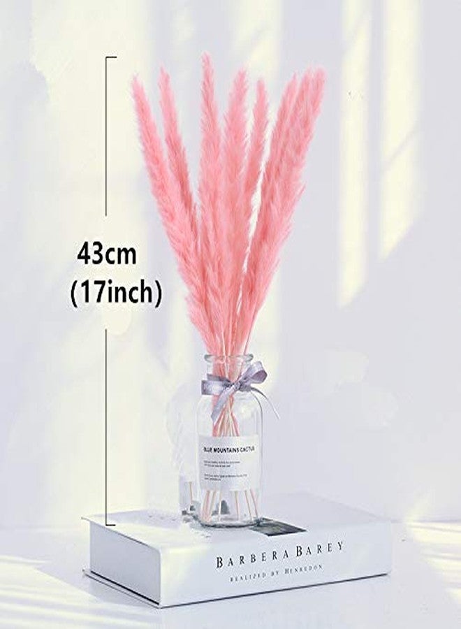 جولان 15 قطعة من عشب البامباس المجفف، 16 بوصة من نبات القصب الشائع، نبات لاغوروس أوفاتوس المجفف، زينة زهور مجففة، زهور قصب صناعية لتنسيقات الزهور وديكور حفلات الزفاف والمنزل (أبيض) - Image 5