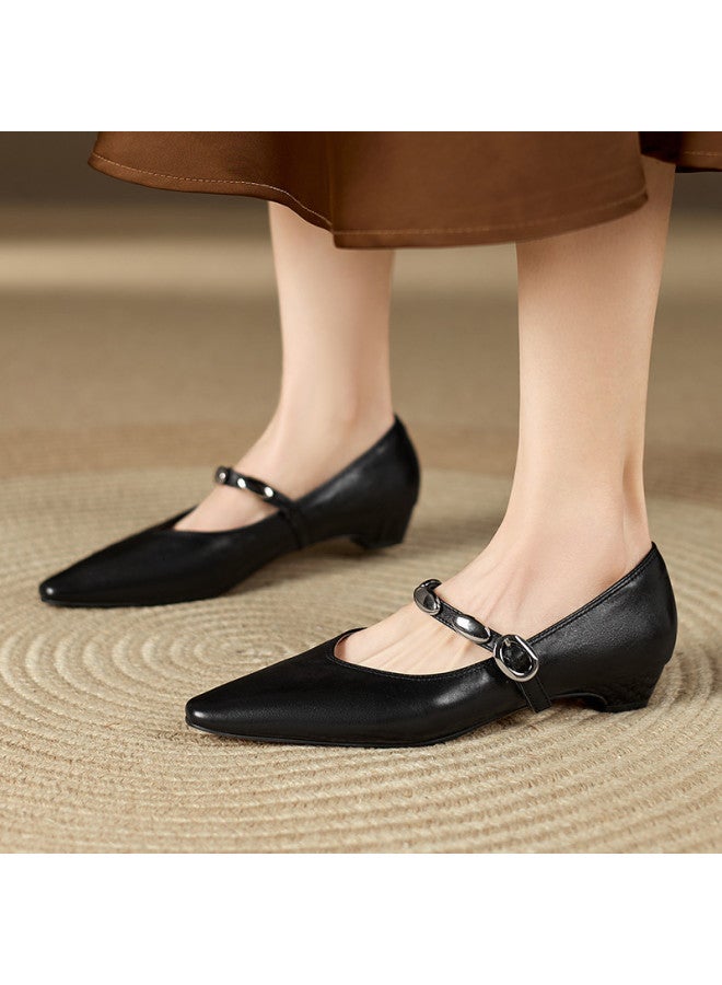 St&Sat Early Spring New Arrival] 26 New Mary Jane Pointed Toe Fashion Square Heel Rhinestone Low Heel Shallow Mouth French Women's Single Shoes - Image 3