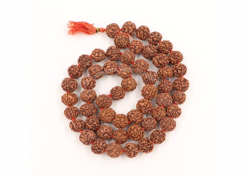 ARKAM 5 mukhi Rudraksh Kantha/Rudraksha Kantha for Wearing and Worship/Rudraksh Mala Big/Five Faced Rudraksh Kantha Mala (Size: 18-22mm, Length: 35inches, Beads: 54+1), Brown - Image 3