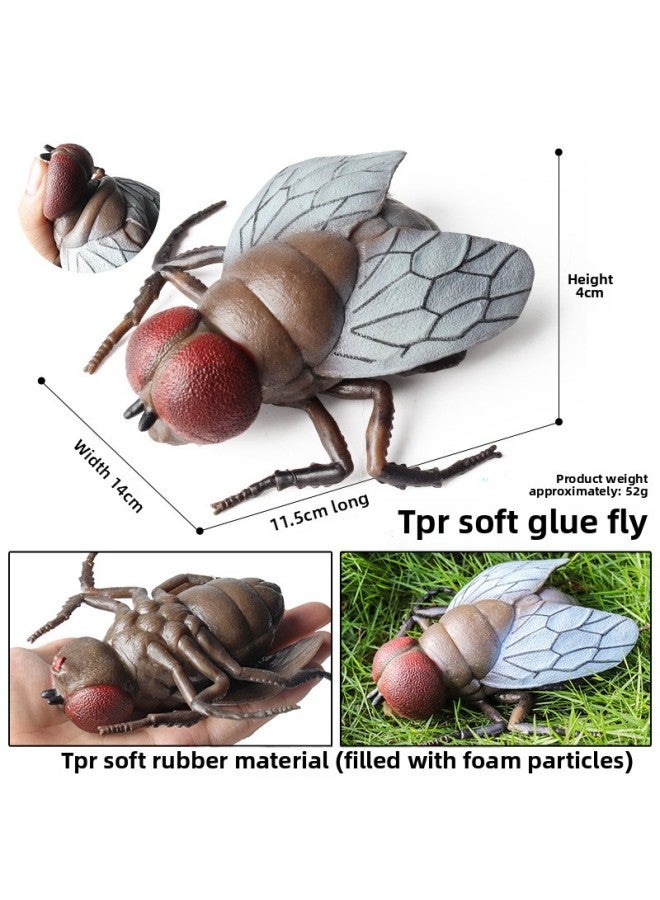 Loquat Trick Toy Simulation Spider Poisonous Spider Insect Animal Model Children's Toy Plastic Ornaments Gift-Color:BY Soft Rubber Fly (TPR Material) - Image 1