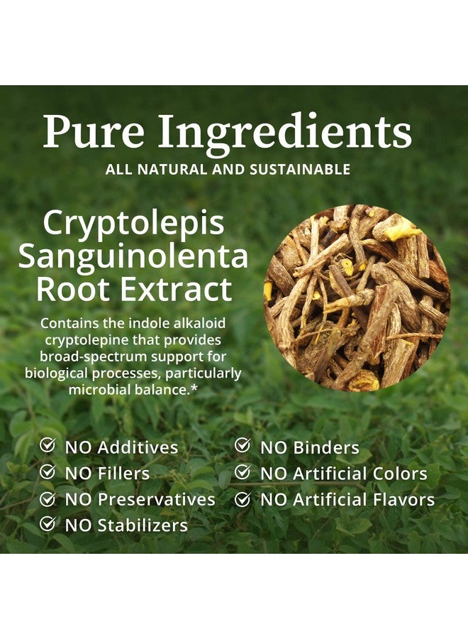 BioPure Cryptolepis Herbal Tincture - Potent Botanical Extract of Cryptolepis Sanguinolenta for Immune Support, microbiome Balance, and Gastrointestinal Health - 4 fl oz - Image 3