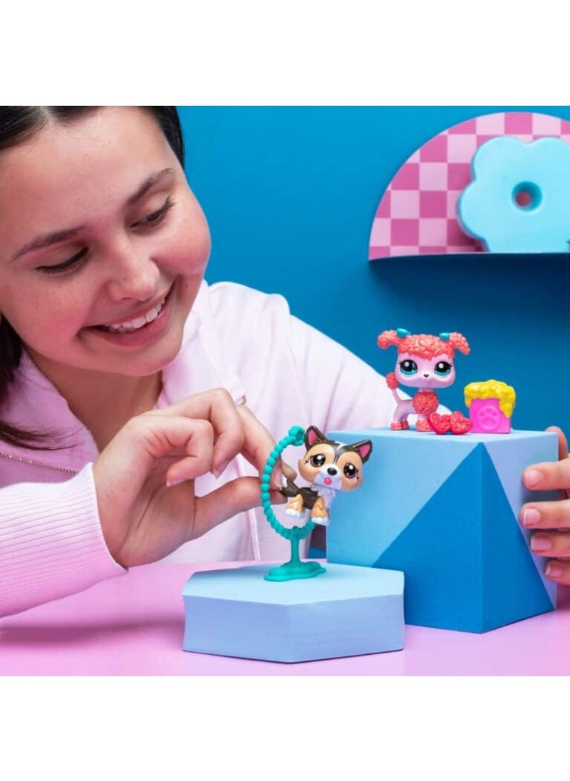 Littlest Pet Shop - 2-Piece Figure Set S2 - Shetland Sheepdog and Poodle Dog - 5 cm Minis - Image 1