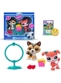 Littlest Pet Shop 2-Piece Figure Set S2 - Shetland Sheepdog and Poodle Dog - 5 cm Minis  - Image 1