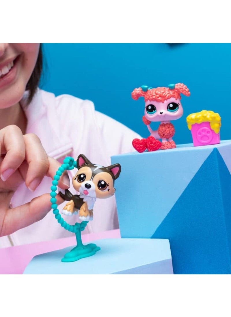 Littlest Pet Shop - 2-Piece Figure Set S2 - Shetland Sheepdog and Poodle Dog - 5 cm Minis - Image 1