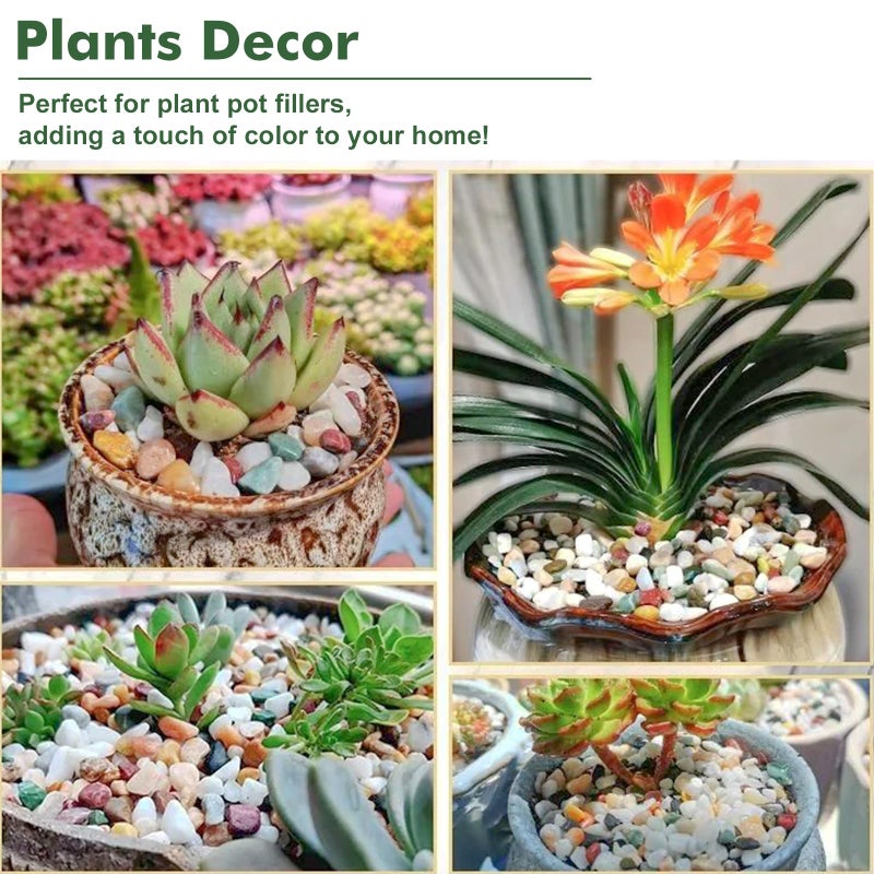 Planterhoma 18 lbs Succulent and Cactus Bonsai Pebbles, 4-6mm Decorative Landscaping Stones Natural Garden Gravel Rocks for Indoor Outdoor Plants Aquariums DIY, and Gardening Top Dressing, Green Zeolite - Image 4