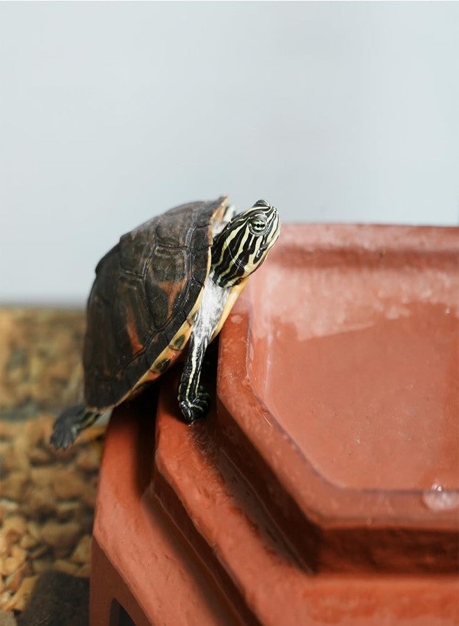 Flushbay Reptile Habitat Décor Hideouts Basking Platform with Ramp for Aquatic Turtles Reptile Hide Cave Resting Terrace for Tortoise, Bearded Dragon,Leopard Gecko,Lizard - Image 4