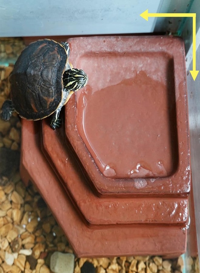Flushbay Reptile Habitat Décor Hideouts Basking Platform with Ramp for Aquatic Turtles Reptile Hide Cave Resting Terrace for Tortoise, Bearded Dragon,Leopard Gecko,Lizard - Image 3