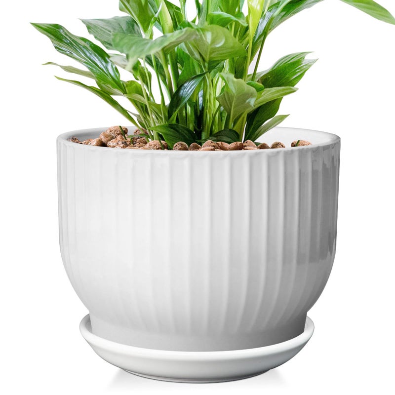 YUFDA 8 Inch Plant Pot,Ceramic Planter with Drainage and Saucer,Ceramic Pots for Plants,Indoor Plant pots,Ceramic Flower pots(Pure White, Plants NOT Included) - Image 1