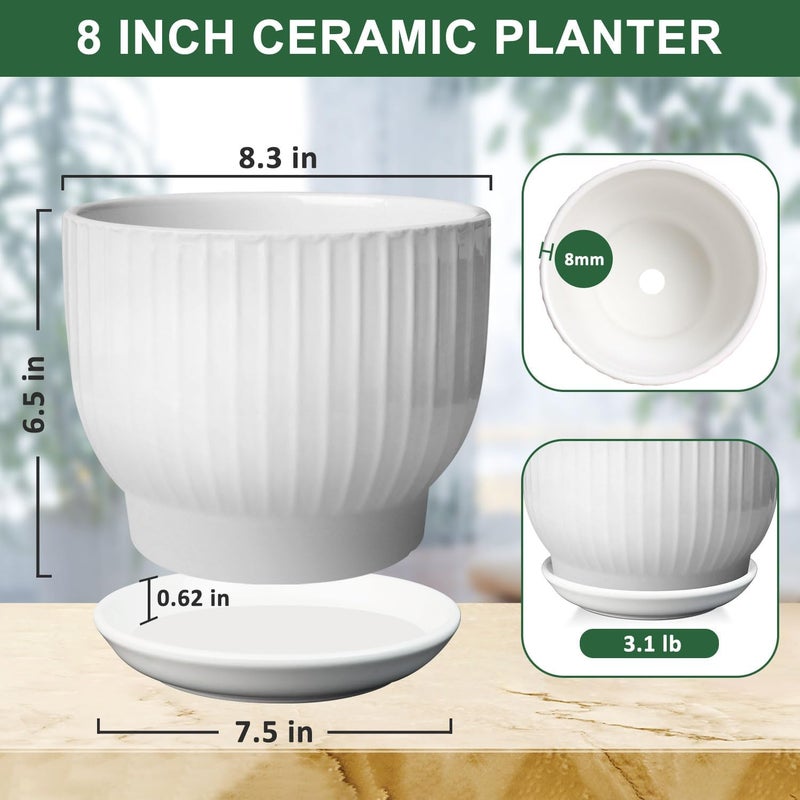 YUFDA 8 Inch Plant Pot,Ceramic Planter with Drainage and Saucer,Ceramic Pots for Plants,Indoor Plant pots,Ceramic Flower pots(Pure White, Plants NOT Included) - Image 2