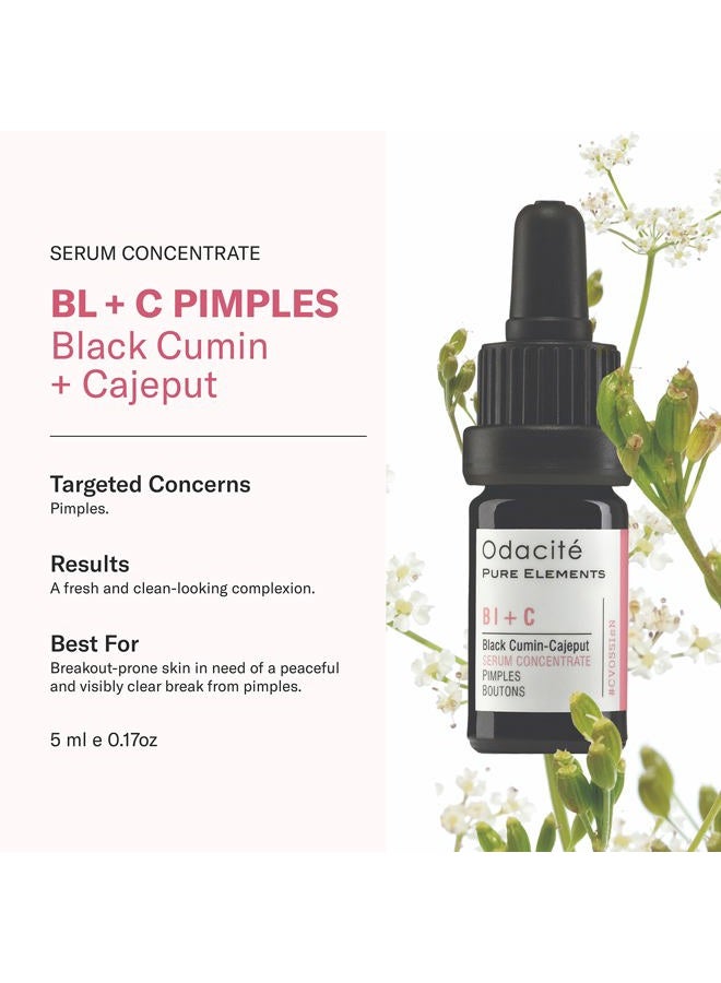 Odacite Odacité Acne Serum Concentrate for Face, Pore Cleanser Facial Oil for Pimples with Black Cumin + Cajeput - Purifying Facial Serum with Vitamin A & Natural Ingredients - 0.17 Fl. Oz - Image 2