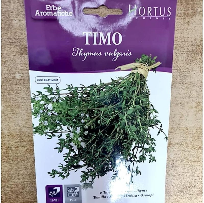 Hortus Thyme Timo Herb Premium Quality Seeds by Hortus - Image 2