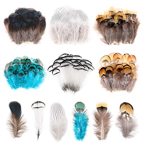 MWOOT 6 Styles Assorted Crafts Feathers, 120Pcs DIY Dreamcatcher Crafts Art Decor Feathers, DIY Earring Wings Carnival Party Mask Activities Project Accessories Small Feather - Mixed Green White Brown - Image 1