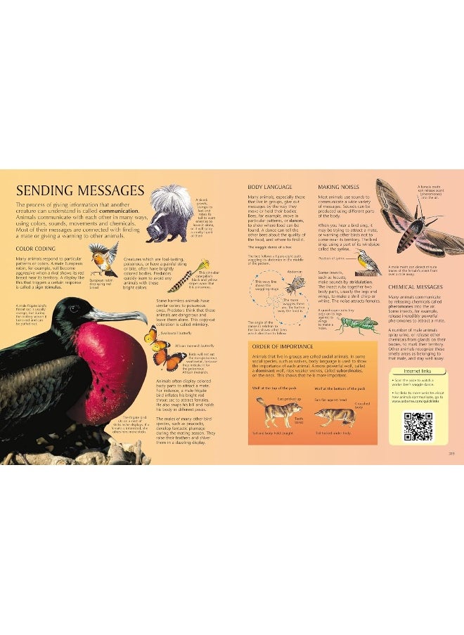 Usborne Science Encyclopedia  - Image 4