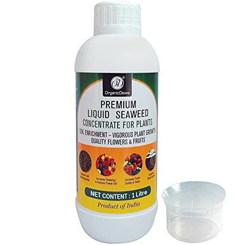 OrganicDews Liquid Seaweed Concentrate for Plants (1 Litre) with Measuring Cup 25 ml Fertilizer for All Indoor and Outdoor Plants - Image 1