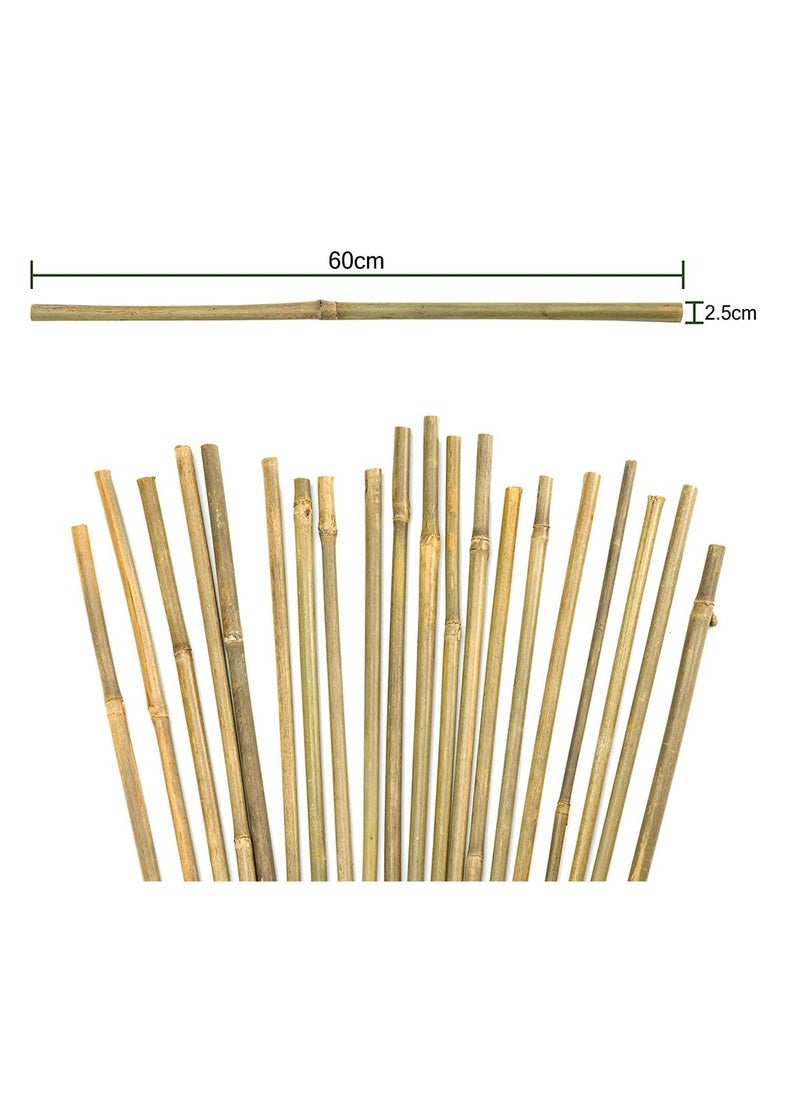 ماركة غير محددة - FFD 4 قطع من أعمدة الخيزران الطبيعية السميكة 60x2.7 سم - Image 1