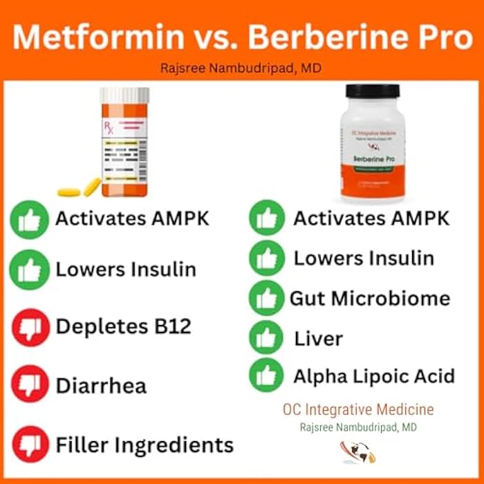 Berberine Pro by Dr. Rajsree, MD | Digestive & Gut Health Support | Herbal Supplement for Intestinal Wellness | 90 Capsules - Image 2