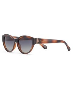DESPADA Despada Full Rim Polarized Cat-Eye DS 2336 C2  - Image 2