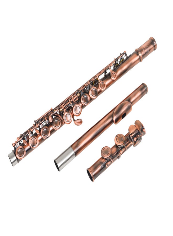 SLADE C-key 16-Hole Flute Set Closed Hole C Flute With Case Cleaning Rod Wiping Cloth and Gloves for Beginner Music Lover - Image 5