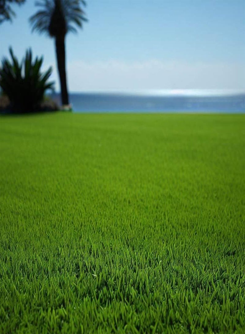 GGOOT Bahia, Bermuda, Grass Seeds for Lawn and Pasture, Livestock Grazing, Choose Color and Amount (10 g, Argentine Bahia Coated) - Image 3
