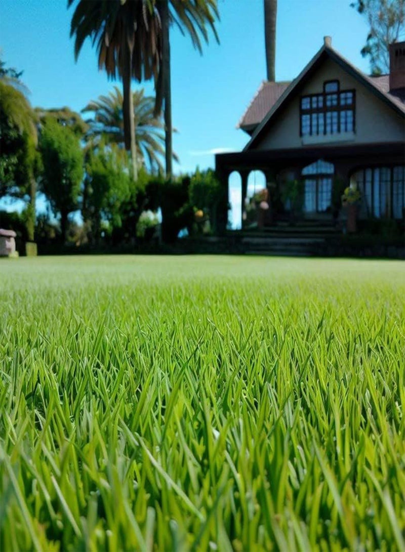 GGOOT Bahia, Bermuda, Grass Seeds for Lawn and Pasture, Livestock Grazing, Choose Color and Amount (10 g, Argentine Bahia Coated) - Image 2