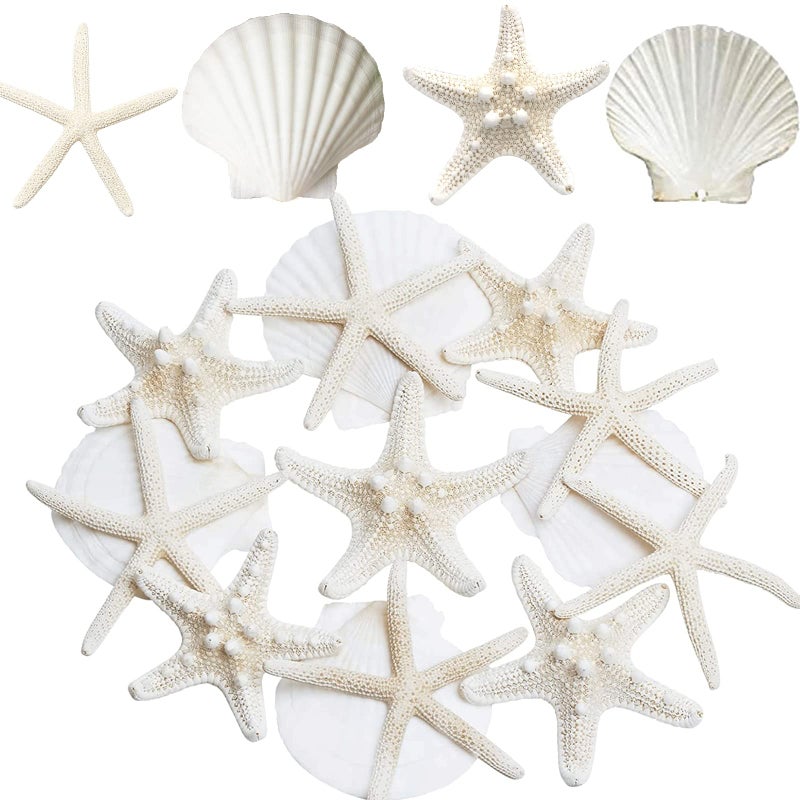 JQAQJU 3-4 Inches Large Starfish and Scallop Shells for Crafts 12PCS, Natural Beach Sea Shells for Crafting, Baking Shells Perfect for White Christmas Decor Beach Party Wedding Fishtank DIY Crafts - Image 1