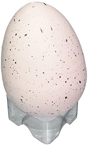 Toysmith Ginormous Grow Dino Egg Toy - Image 1