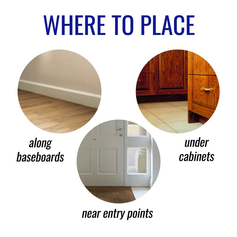 Terro T100-12 Liquid Ant Killer II, 1 oz, Pack of 1 - Image 3