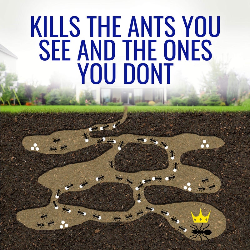 Terro T100-12 Liquid Ant Killer II, 1 oz, Pack of 1 - Image 2