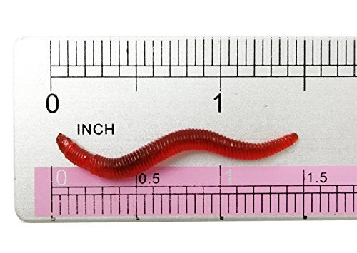 Milepetus Fishing Soft Lure Earthworm Bait Lifelike Fake Earthworm Grub Worm Soft Fishing Lure Baits,Various 1.6inch, Red (150pcs/box) - Image 2
