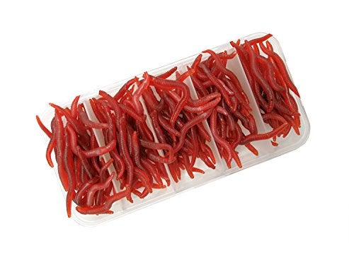 Milepetus Fishing Soft Lure Earthworm Bait Lifelike Fake Earthworm Grub Worm Soft Fishing Lure Baits,Various 1.6inch, Red (150pcs/box) - Image 1