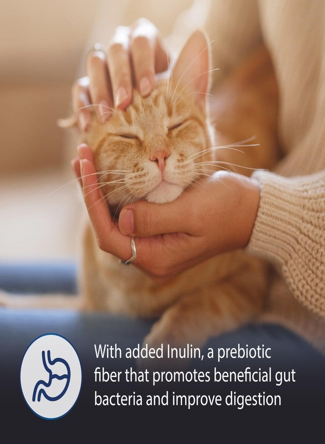 INABA Churu Entrée Bisque for Cats, High Protein & Moisture, Prebiotic Wet Cat Food, 1.06oz. per Serving, 12 Servings, Tuna Recipe with Salmon - Image 2