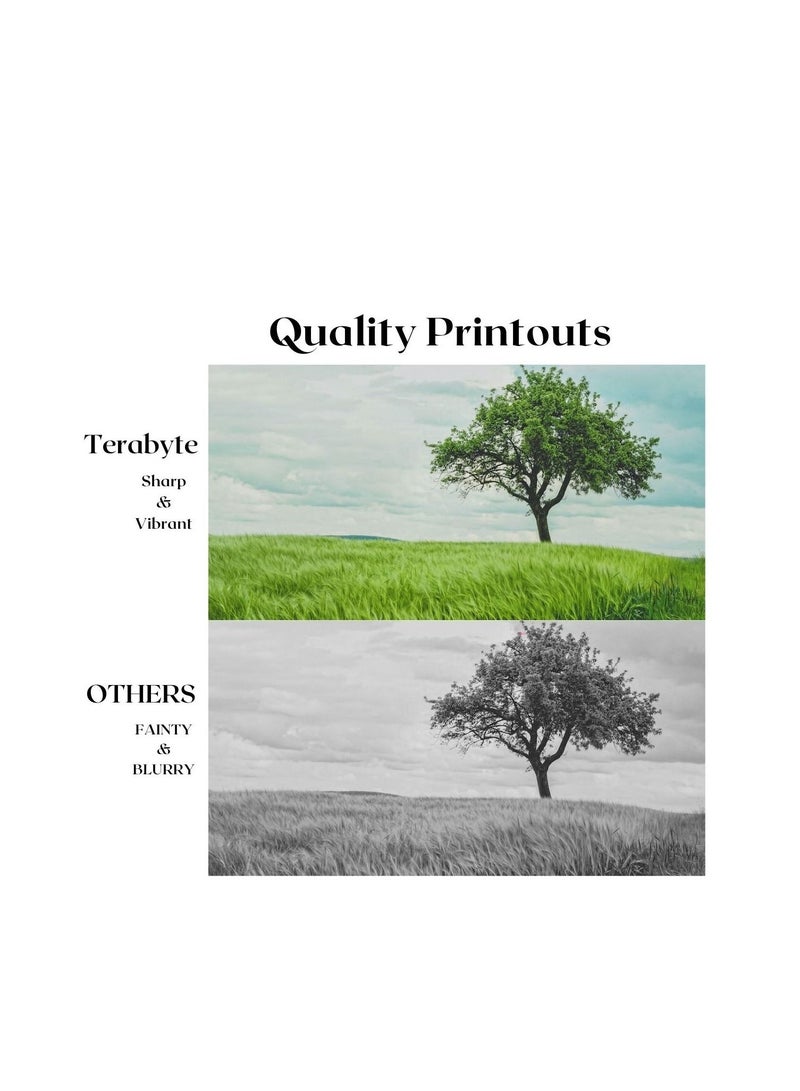 Terabyte تونر متوافق TN414 من تيرابايت - Image 2