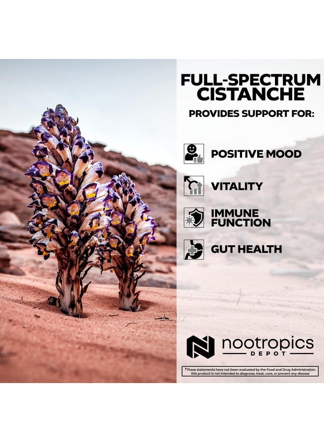 Nootropics Depot Cistanche tubulosa Capsules | 700mg | 5% Echinacoside + 1% Verbascoside (Acetoside) | 60 Count - Image 4