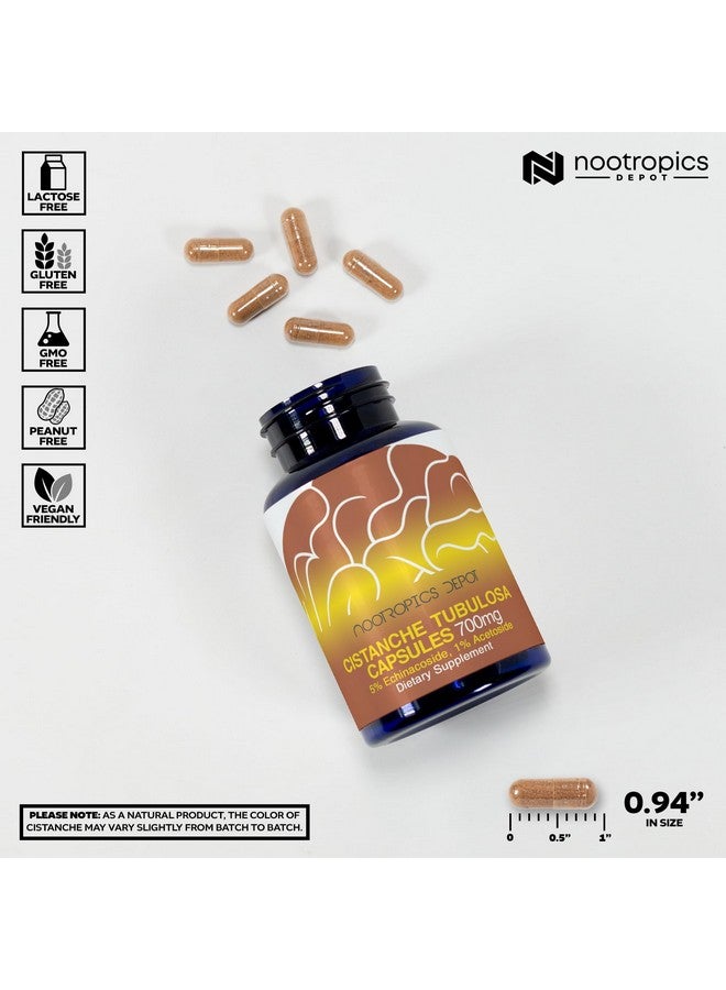 Nootropics Depot Cistanche tubulosa Capsules | 700mg | 5% Echinacoside + 1% Verbascoside (Acetoside) | 60 Count - Image 3
