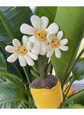Little Daisy gifts 3b dust bags.
