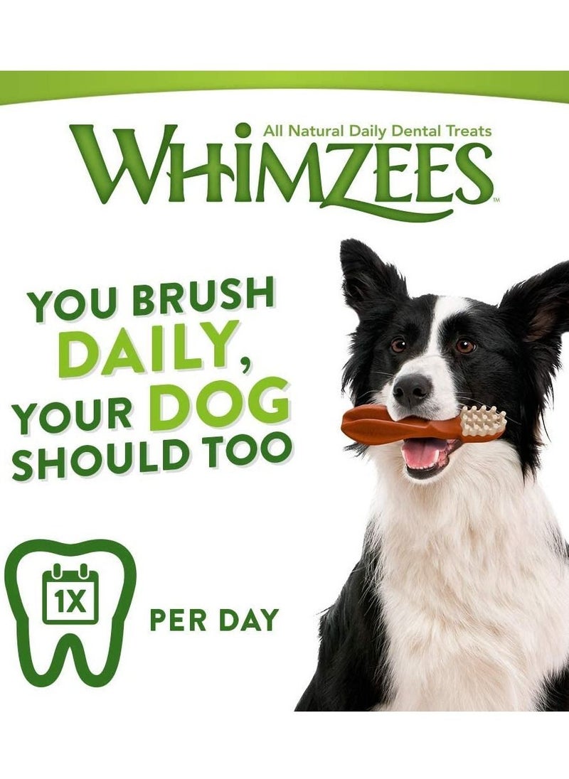 WHIMZEES - Natural Grain Free Dental Toothbrush 6Pc Star Large Mix Brown 360g - Image 1