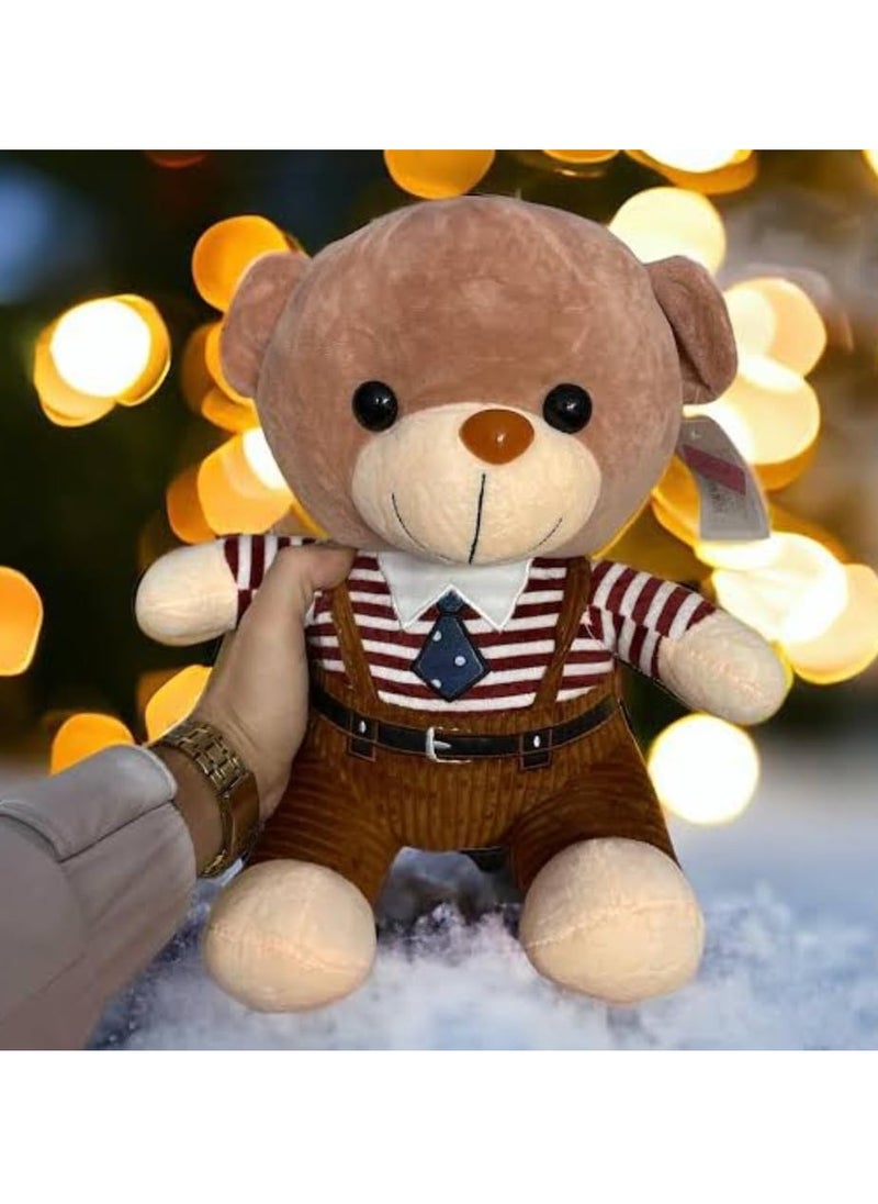 Teddy Bear Multi Color (Multi)  - Image 2
