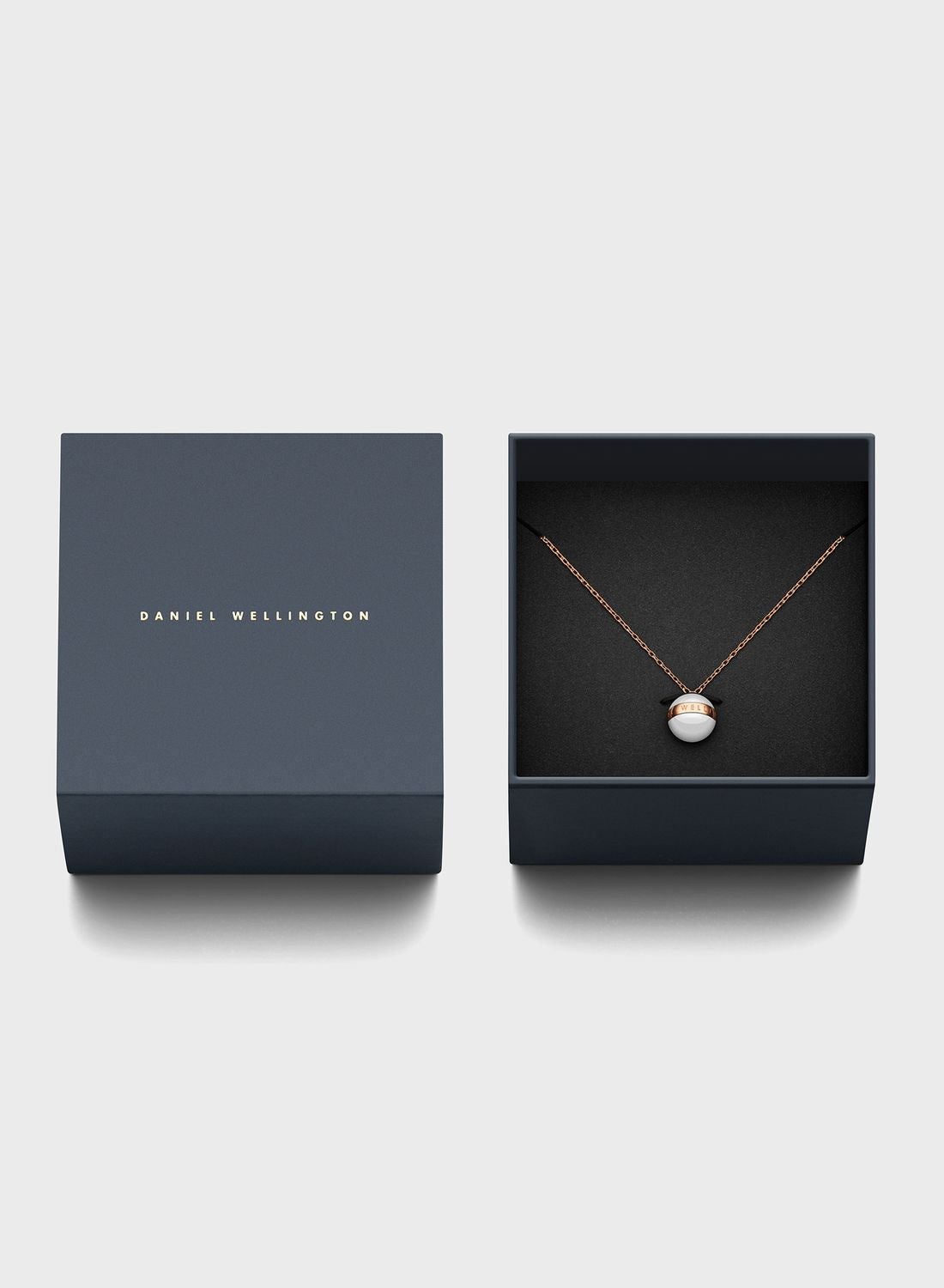 Daniel Wellington レディース ASPIRATION NECKLACE DW00400156 Daniel Wellington Ladies Necklace Aspiration DW00400156